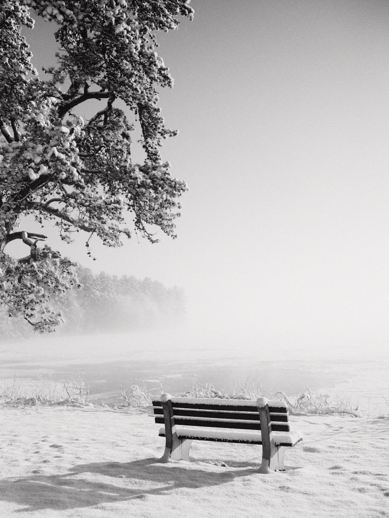 Ice fog at the lake | Auburn, NH | 2022